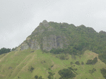 0013 Pukewhakataratara_thumb.gif